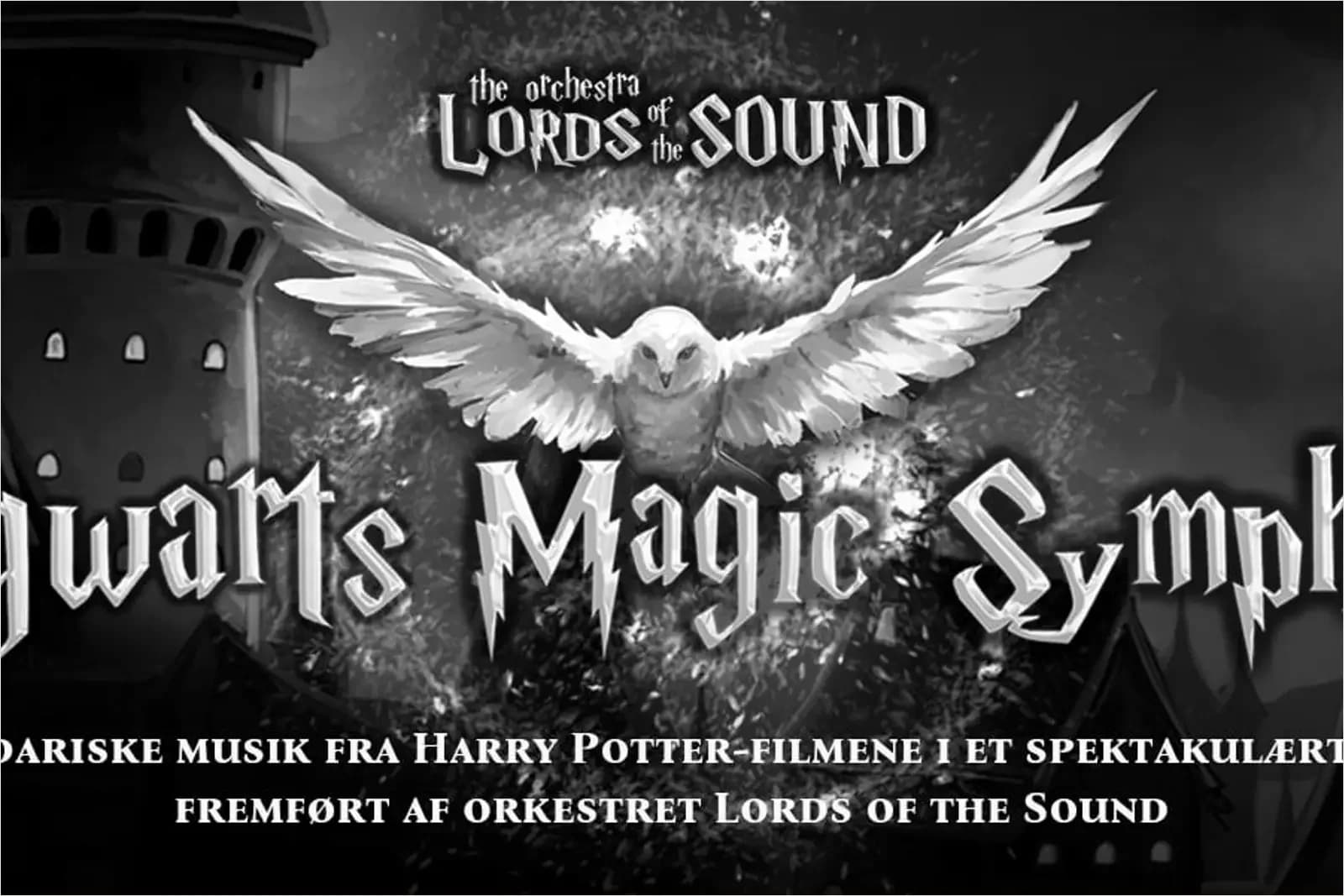 Hogwarts Magic Symphony
