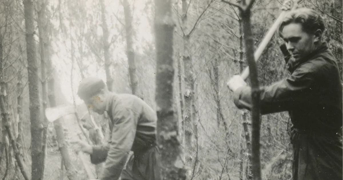 Militærnægterne i Kompedal