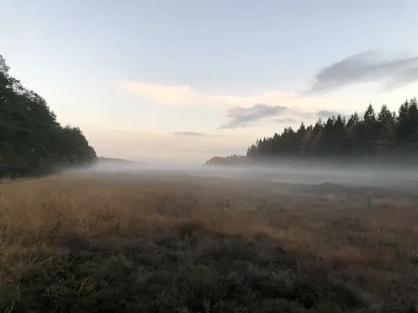 Efterårsdag i Kompedal 2026