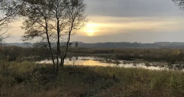 Guidet vandring i fortidens spor på gul rute ved Bølling Sø
