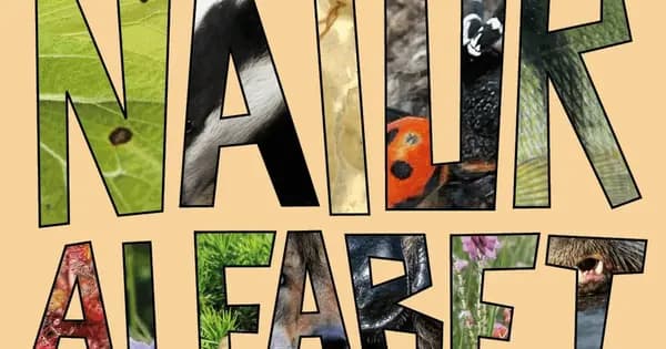 Naturalfabet Releasefest
