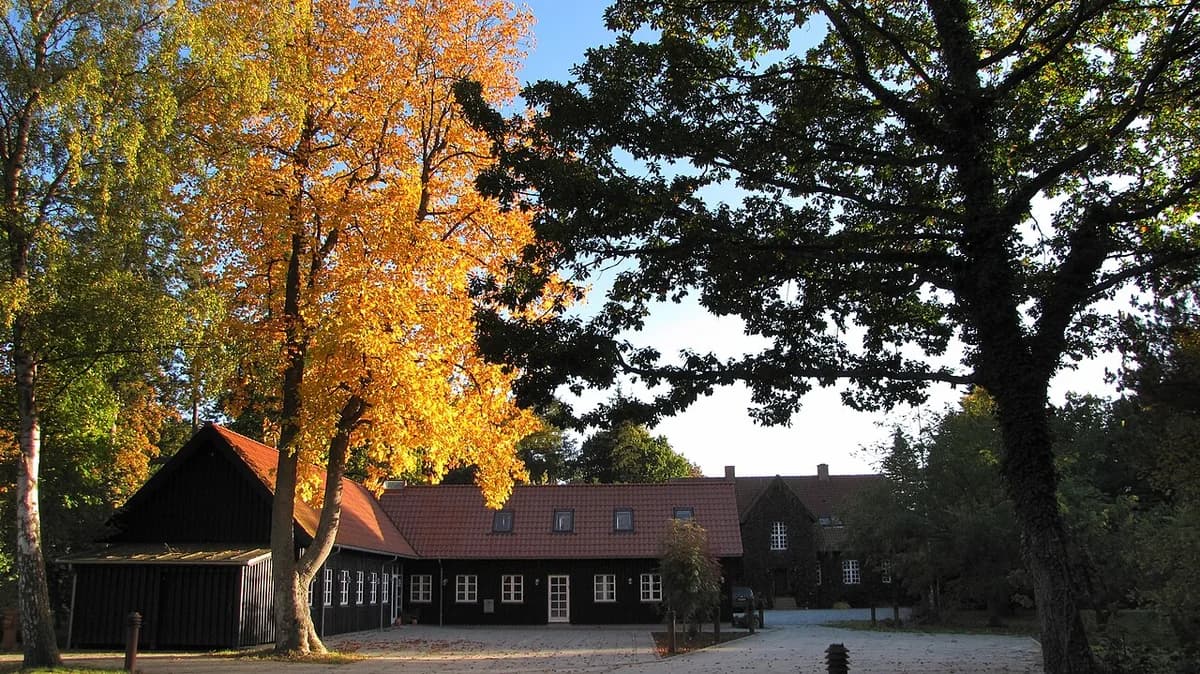 A dark wooden office building surrounded by autumn trees.